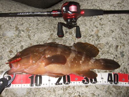 今シーズン初釣行