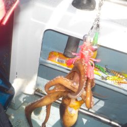 タコ開幕戦〜鍵庄〜