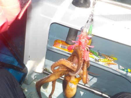 タコ開幕戦〜鍵庄〜