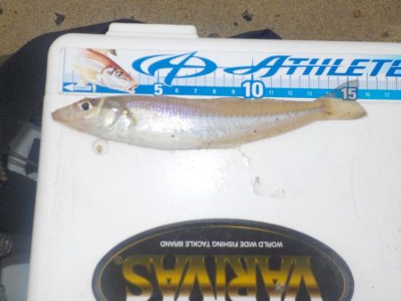 キス第1戦〜栗田〜