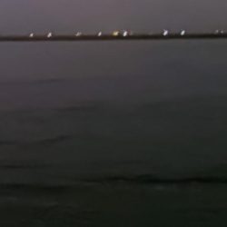 バチ抜け調査4 80cmオーバー捕獲