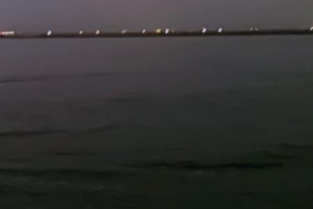 バチ抜け調査4 80cmオーバー捕獲