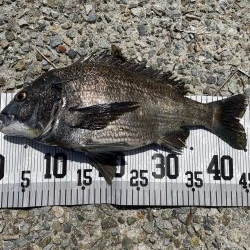 イチノ兄弟、釣果!