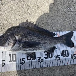 イチノ兄弟、釣果！