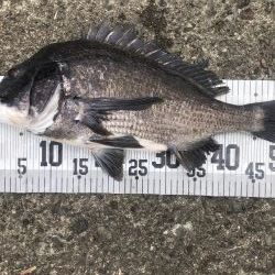 イチノ兄弟、釣果！