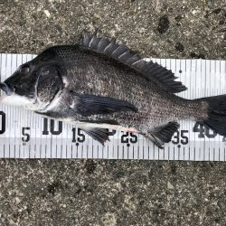 イチノ兄弟、釣果！