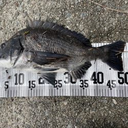 イチノ兄弟、釣果！