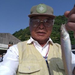 津居山港のキス調査