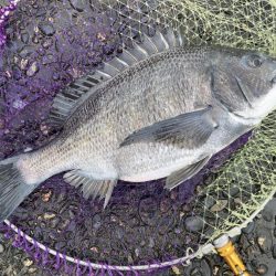 荒れる前のランガン釣行