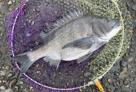 荒れる前のランガン釣行