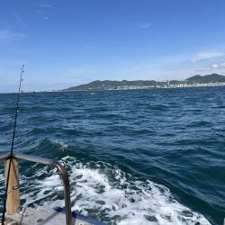 大サバパラパラ