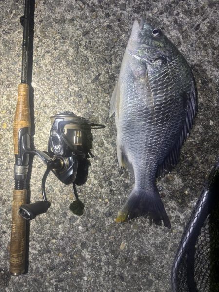 爆風の中爆釣👍