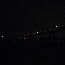 チヌが帰って来たようです。