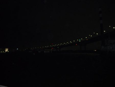 チヌが帰って来たようです。