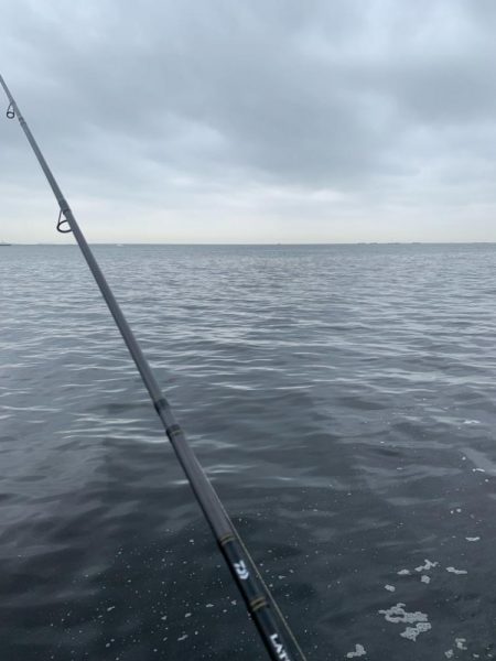 春シーバス、チヌ