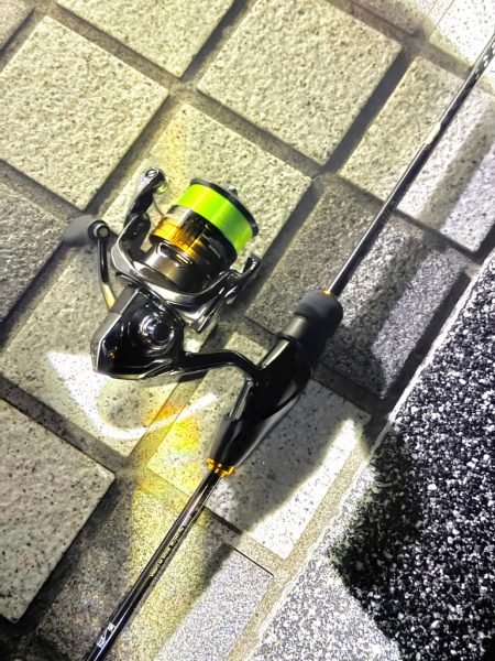 やっとアジングで釣れた