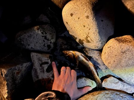 時合短いがポツポツと