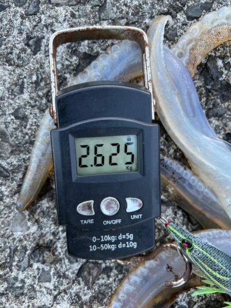 春イカ 自己記録更新!