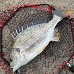 ヘチってきました