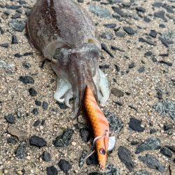 今年はの夫婦での遠征!!