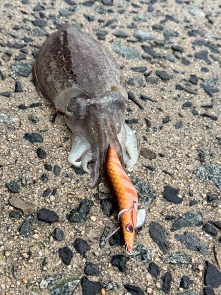 今年はの夫婦での遠征!!