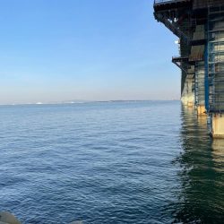 やっとアジいた