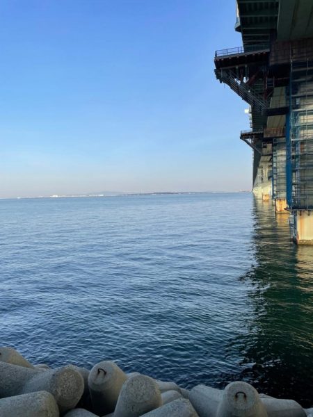 やっとアジいた