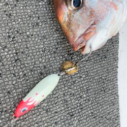 シーバス/キャスティング