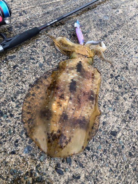 オッス、自己記録更新！