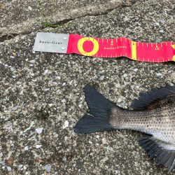 こんな所にもいるんだ⁉︎