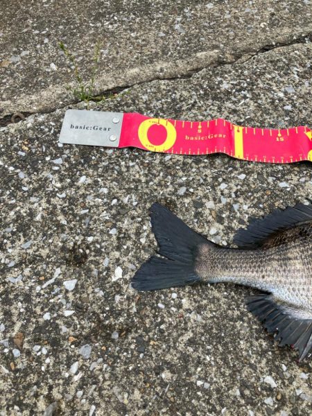 こんな所にもいるんだ⁉︎