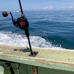 シーズン初タコ。本格的にはこれからか？