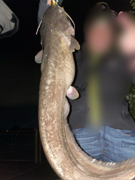 手長エビ掬いとナマズ釣り