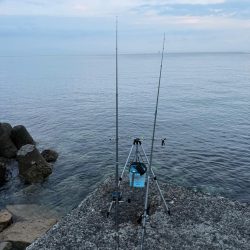 シロギス釣り🎣
