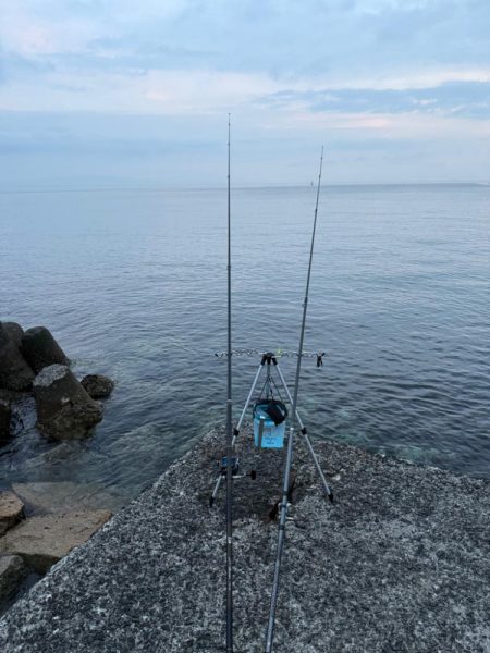 シロギス釣り🎣