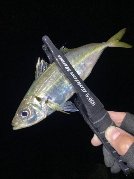 アジングつ抜け