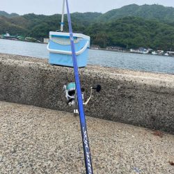 シロギスタ出陣