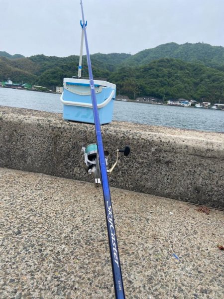 シロギスタ出陣