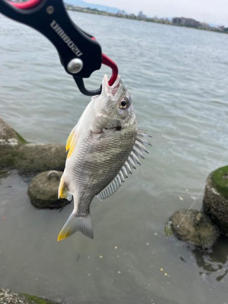 本日2回戦目は淀川で！