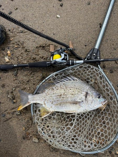 満月周り中潮の淀川キビレ