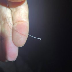 淀川ブリームゲーム