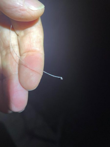 淀川ブリームゲーム