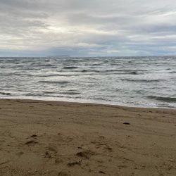 ダイワ2025キストーナメント香川