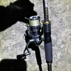 エギング　大物連発