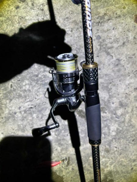 エギング　大物連発