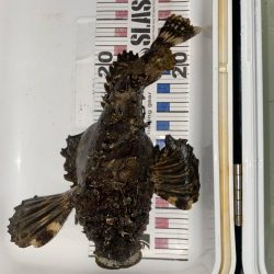 友達と2人遠征で爆釣