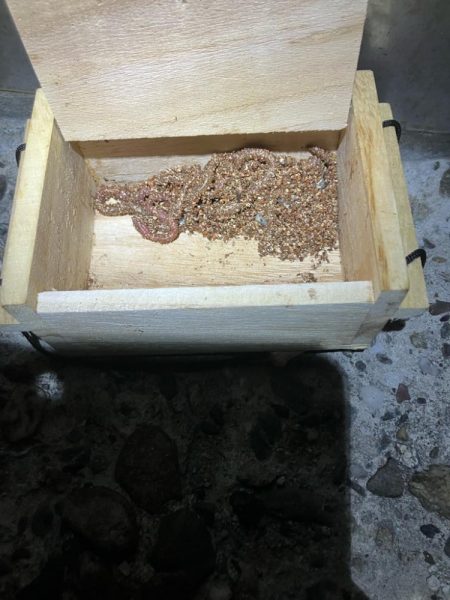 東二見メバル20