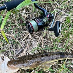 そこをネチネチ