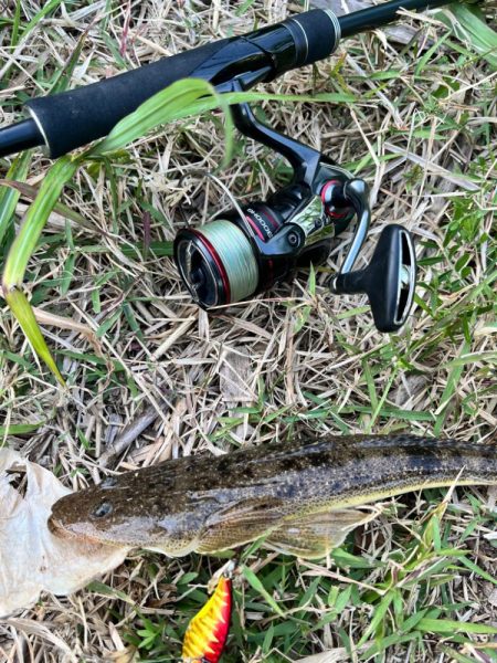 そこをネチネチ