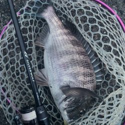 ニュータックル！